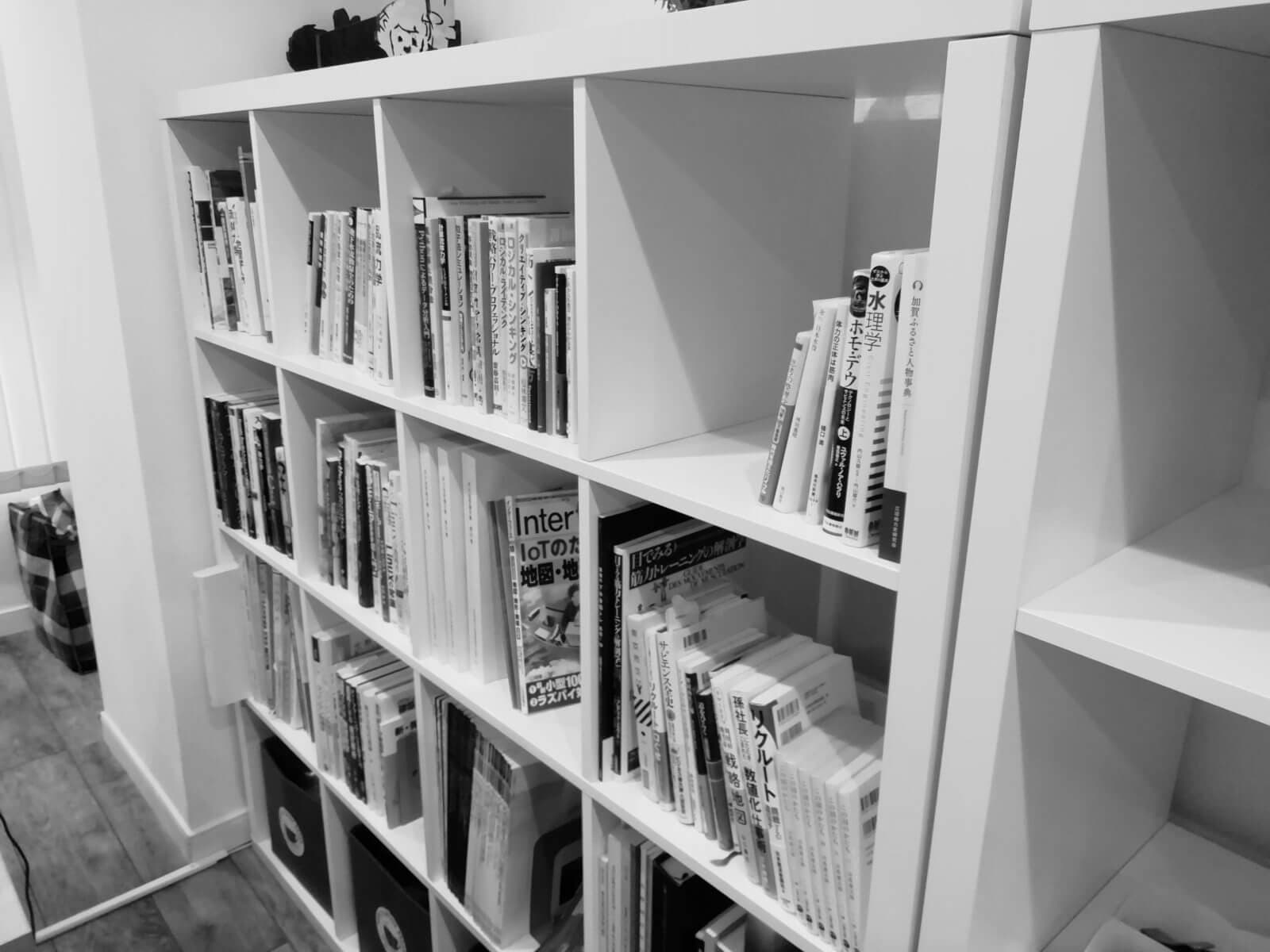 Bookshelf in our office (hydraulics and programming books)